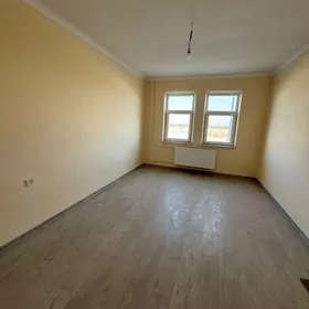 Buzmeyin Taze Ahal Arenda