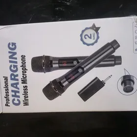 караоке микрофон