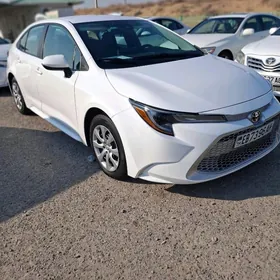 Toyota Corolla 2020