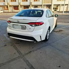 Toyota Corolla 2020