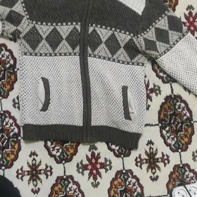 Дашкы гейимлер