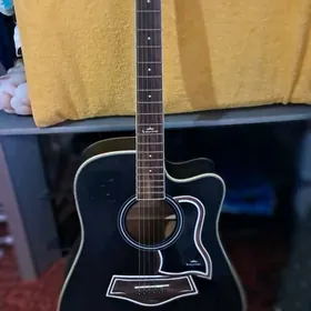 Gitara Akustic