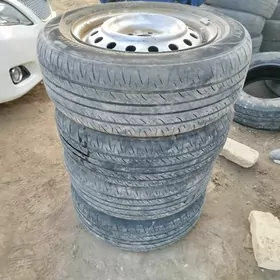 okuz kelle radnoy diska