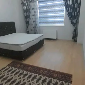 Arenda jaylar ànew Polelitka