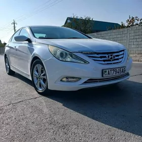 Hyundai Sonata 2010