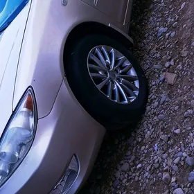 duty kamry Senna zapcas