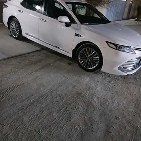 Toyota Camry 2019