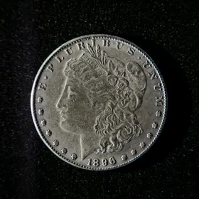 Монета (tenne)