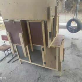 Ketekler, towuk, kepter, towşa