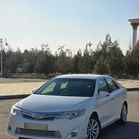Toyota Camry 2013