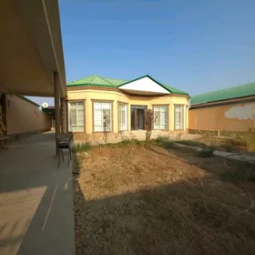 Bagyr aşaky mirewe.