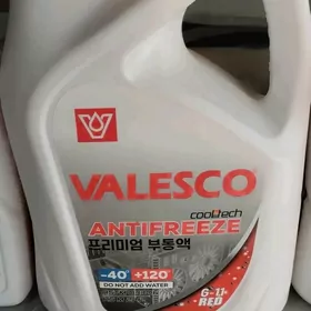 Antifris Valesco gyzyl,ýaşyl.