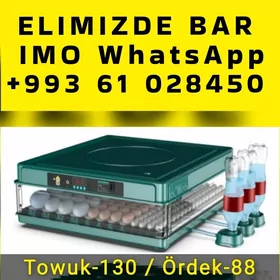  Inkubator Towuk Horaz Jüýje