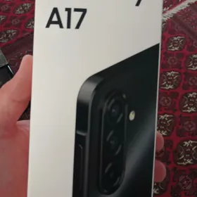 a 17