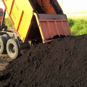 ГУМ НАВОЗ ШЕБИЛ ПУЛПА MITI GUM