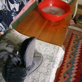 обуви детские