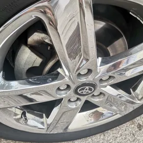 Palta camry SE Org hrom diska