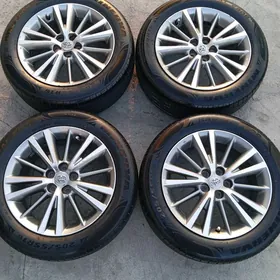 Karola Dysga pakryşga morda 16