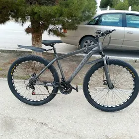 Welosiped 29 lyk welik