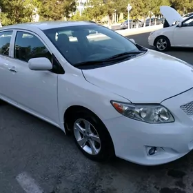Toyota Corolla 2008