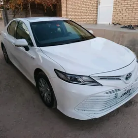 Toyota Camry 2020