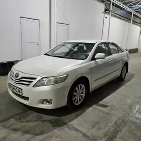 Toyota Camry 2010