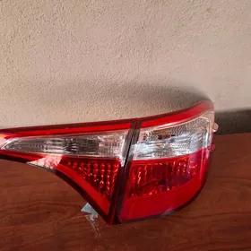 Corolo stopnik çira.