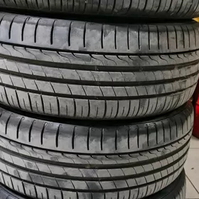 Minerva 215 50 17 4şt ýyly24