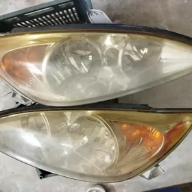 duty kamryn on farasy