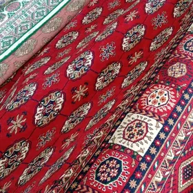 haly, кавер халы