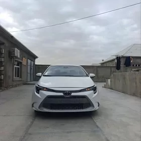 Toyota Corolla 2022