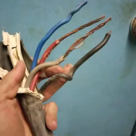 mis sim мис сим