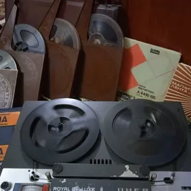 Елекдроника