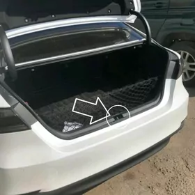 Camry 18_24 bagažyñ plasmasy