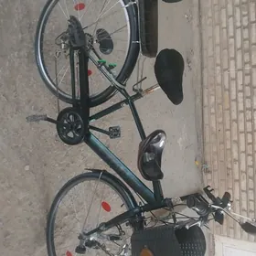 𝗦𝗮𝘁𝗹𝘆𝗸