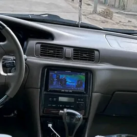 Piyaner crezi telvizor