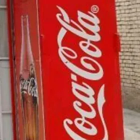 holadilnigyň zaşitasy