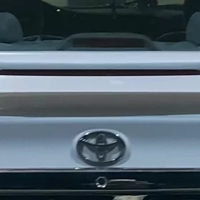 DUTY CAMRY SPOLER BANAN NIKIL