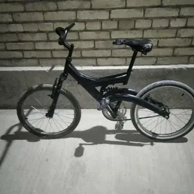 welisepit,tigier 20 lik