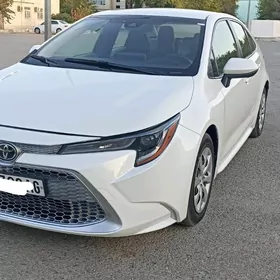 Toyota Corolla 2020