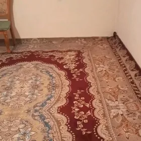 bagyrda kwartira jay