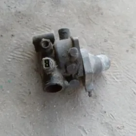 termistatin  korpisi