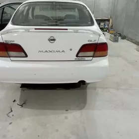 IZKI BAGAŹ IZKIi FARA