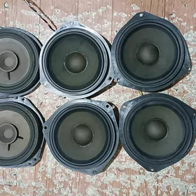 kalonkalar astra G mordañky