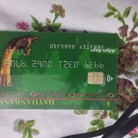 aylyk kart ýitirdim