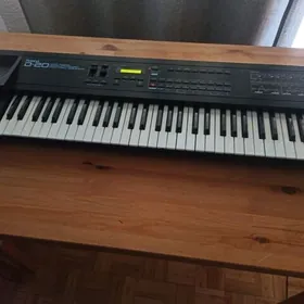 Roland D20 korpus
