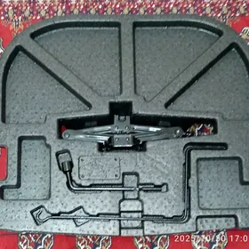 Palta Aziada bagaj nabor