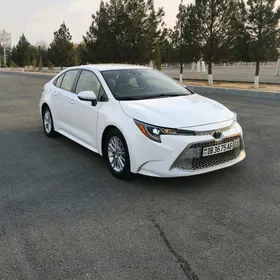 Toyota Corolla 2020