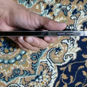 Apple x 12pro owrulen