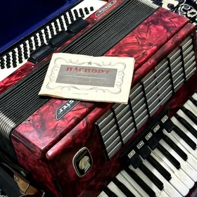 akkordeon